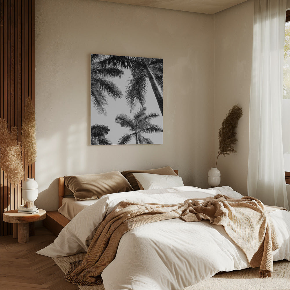 Black And White Palm Tree | Canvas