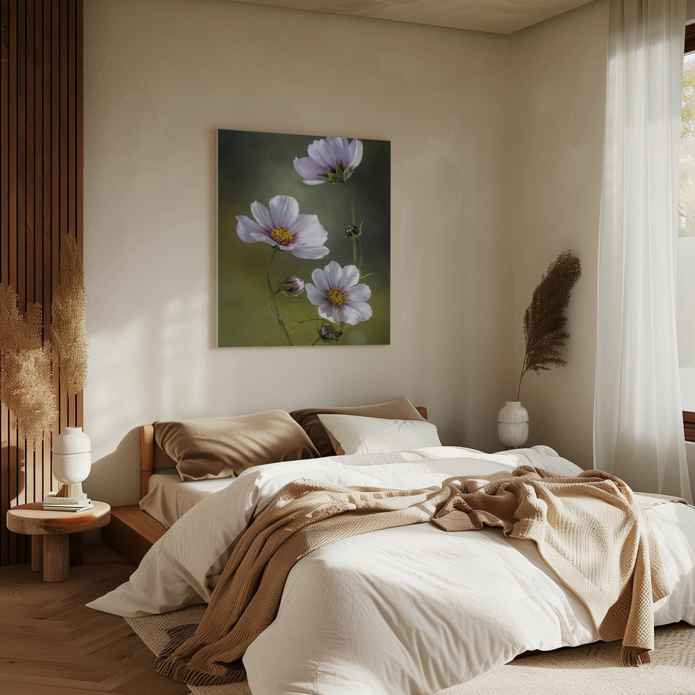 *Cosmos | Canvas