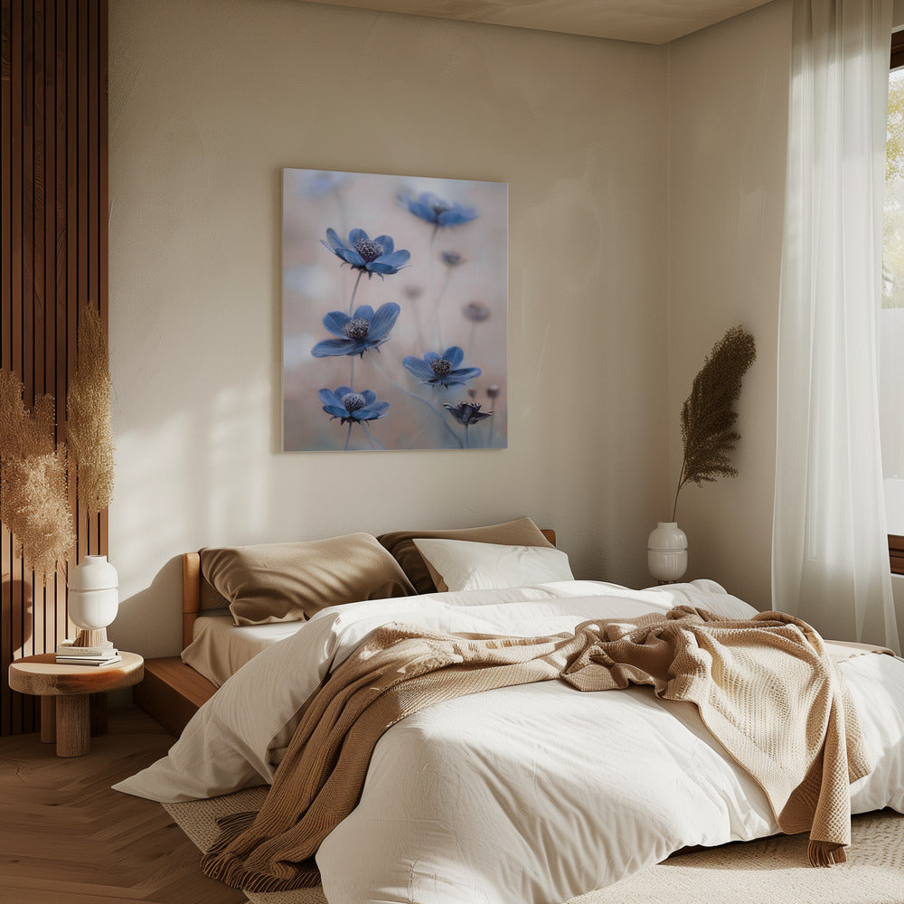 Cosmos blue | Canvas