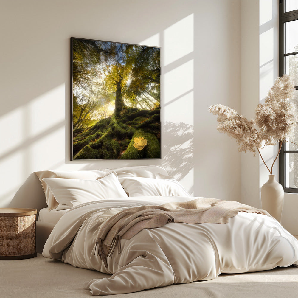 The goodbye of a leaf | Poster