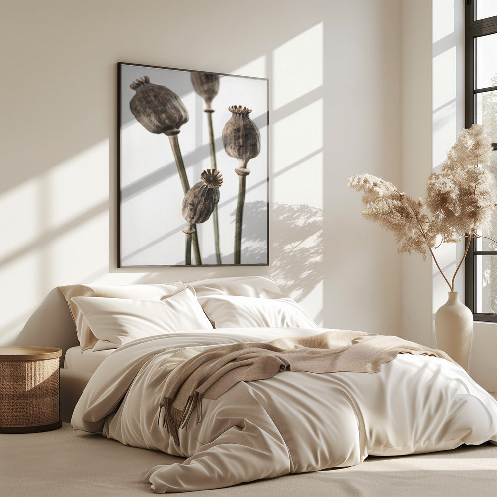Dried_006 | Poster