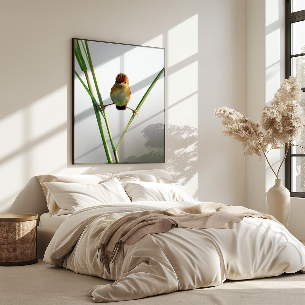 Kung Fu Master | Poster