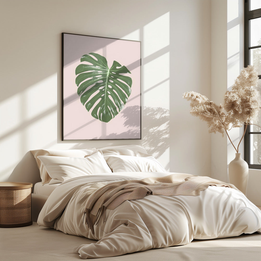 Monstera Leaf Blush | Poster