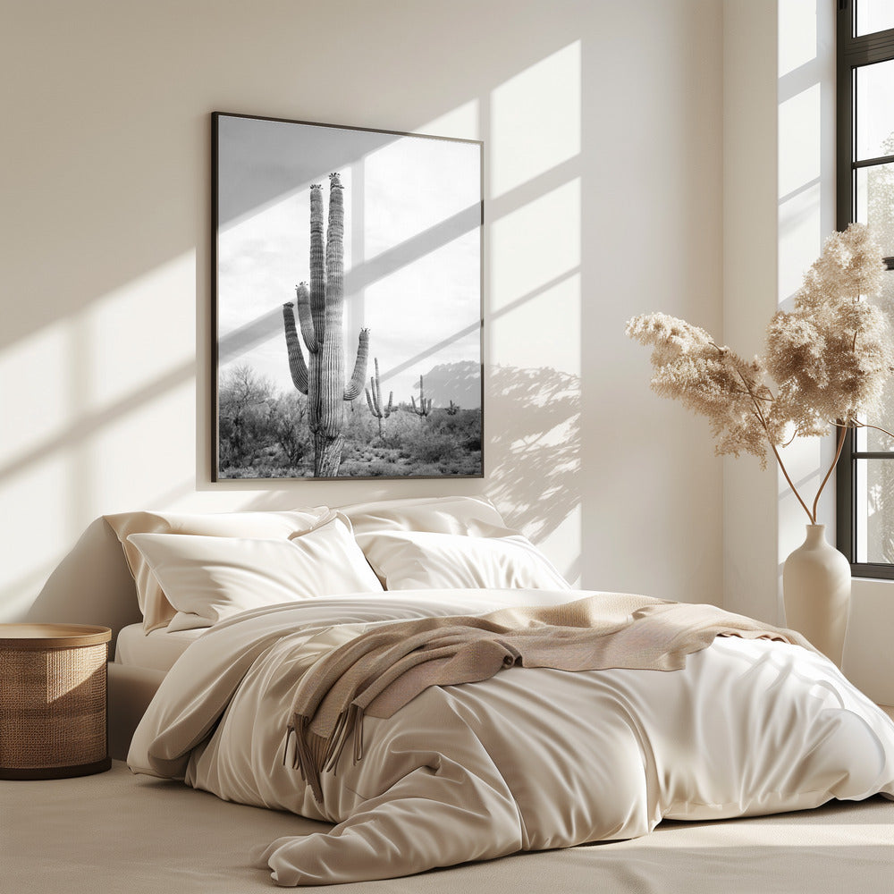 Saguaro B&W | Poster