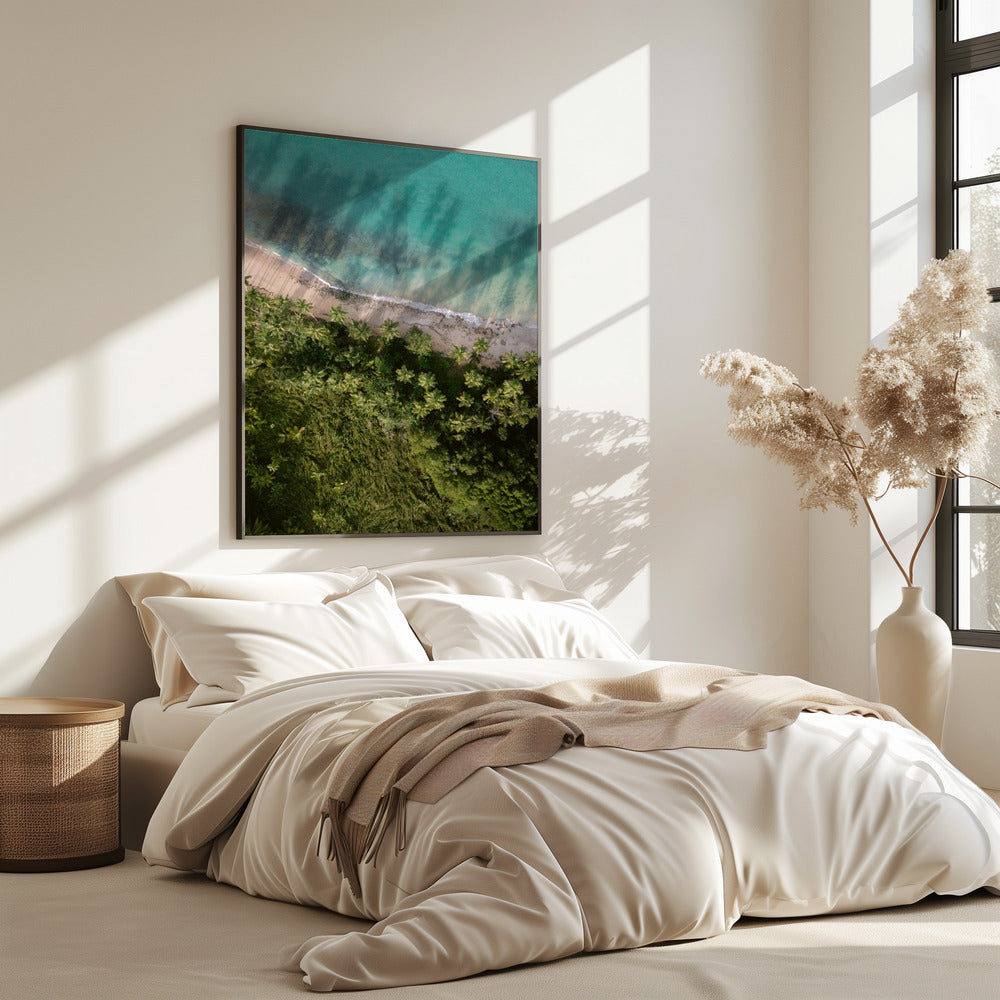 Palm Beach from Above | Poster