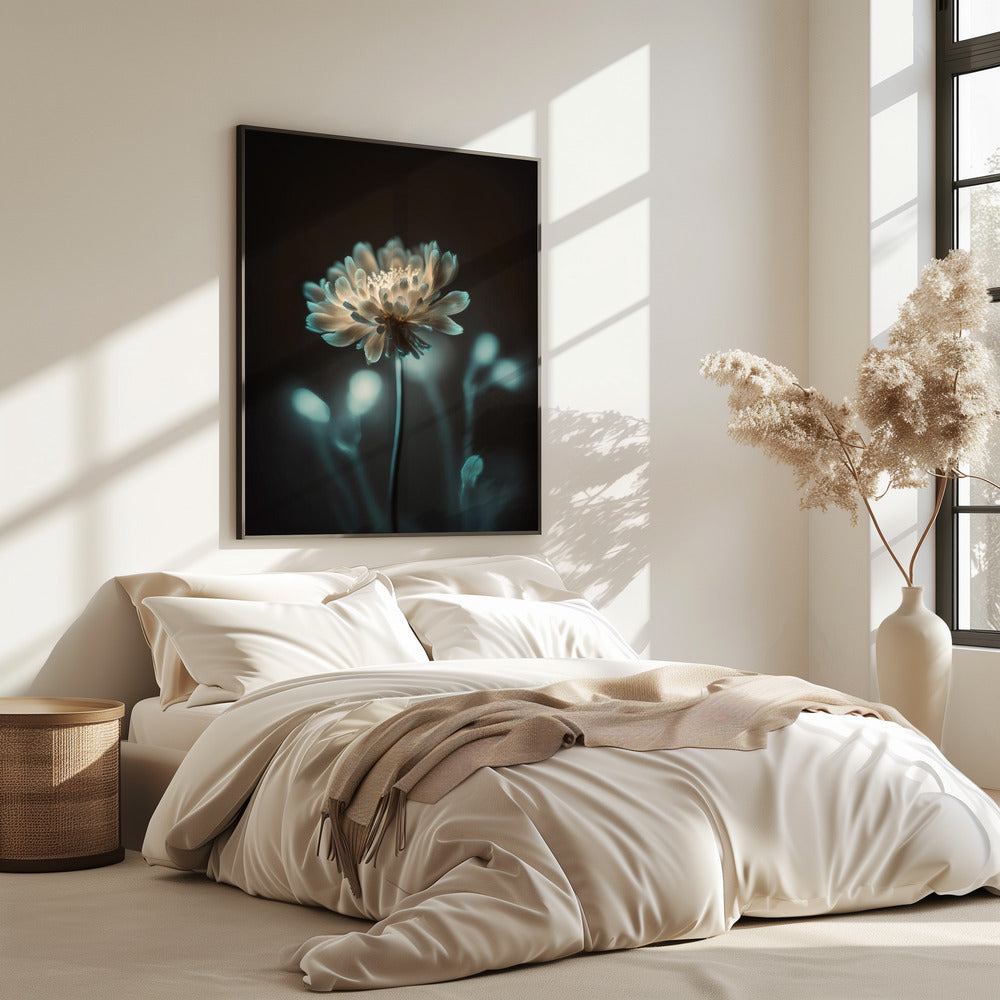 “Luminous Blossom” | Poster