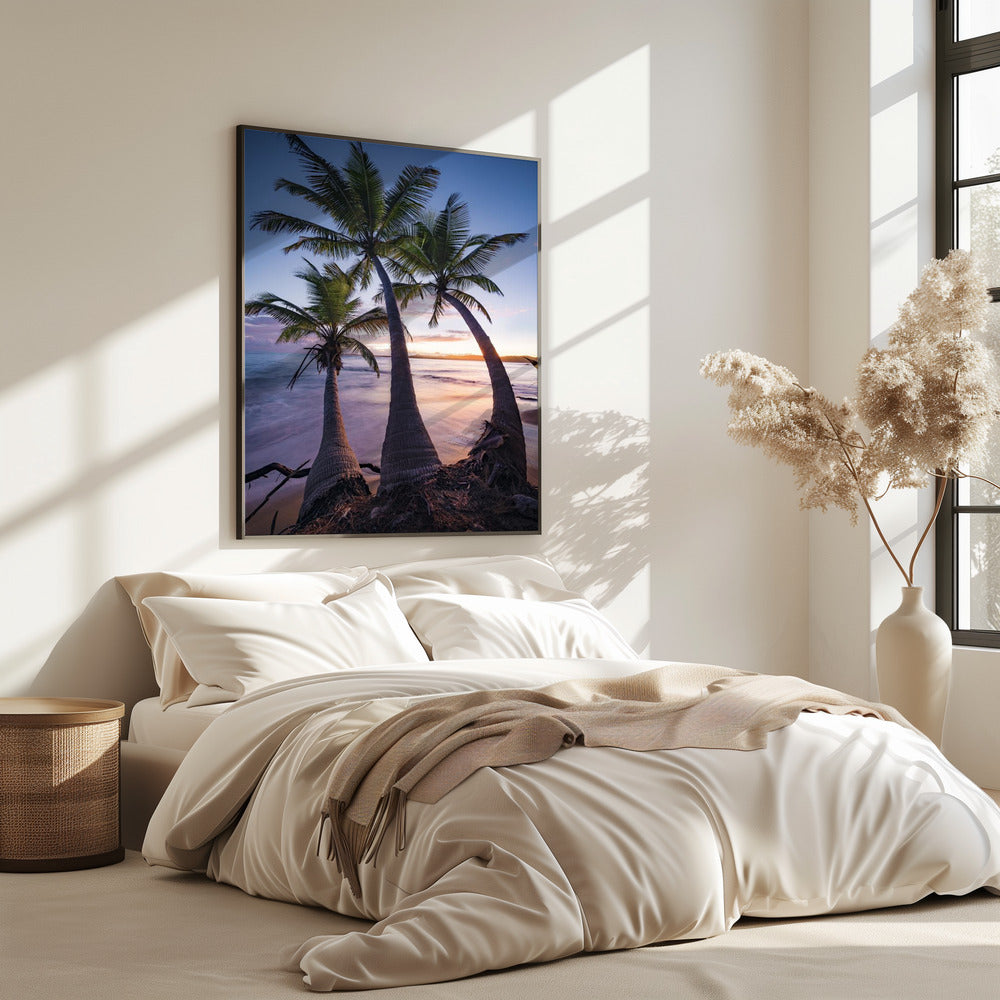 Palmy Twilight | Poster