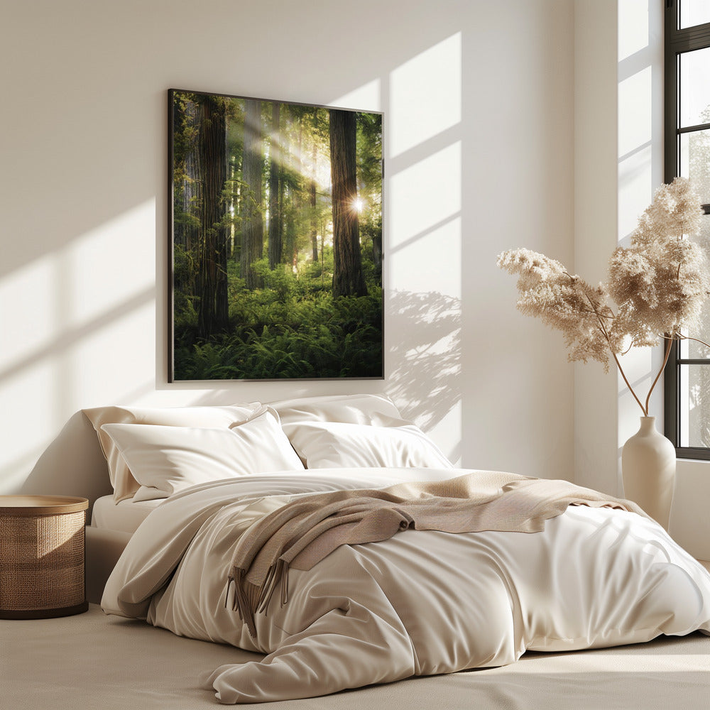 Fairy Forest | Poster