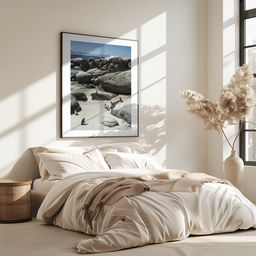 Penguins' Coastal Stroll | Poster