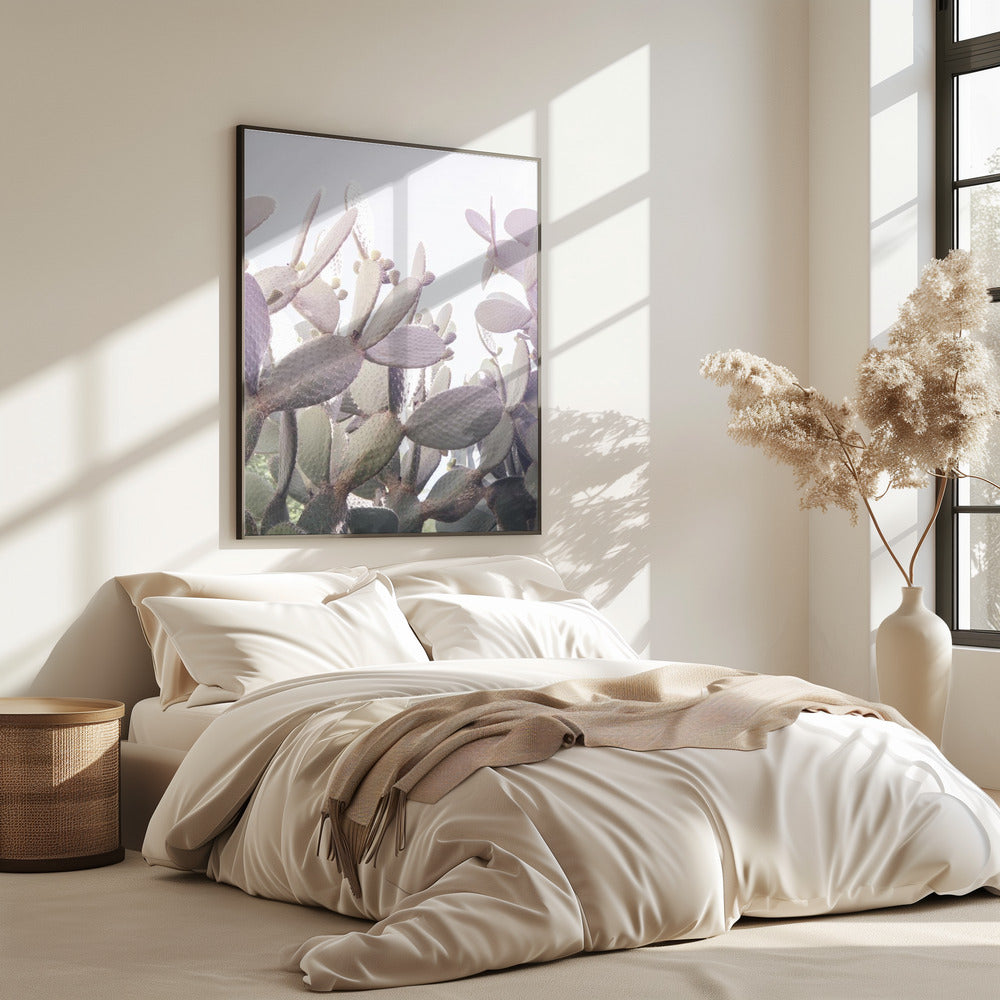 Prickly Serenity | Poster