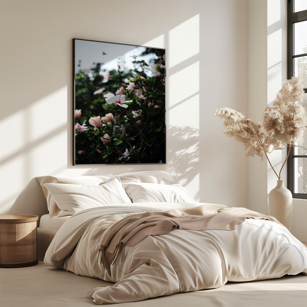 Blossoms in Bloom | Poster