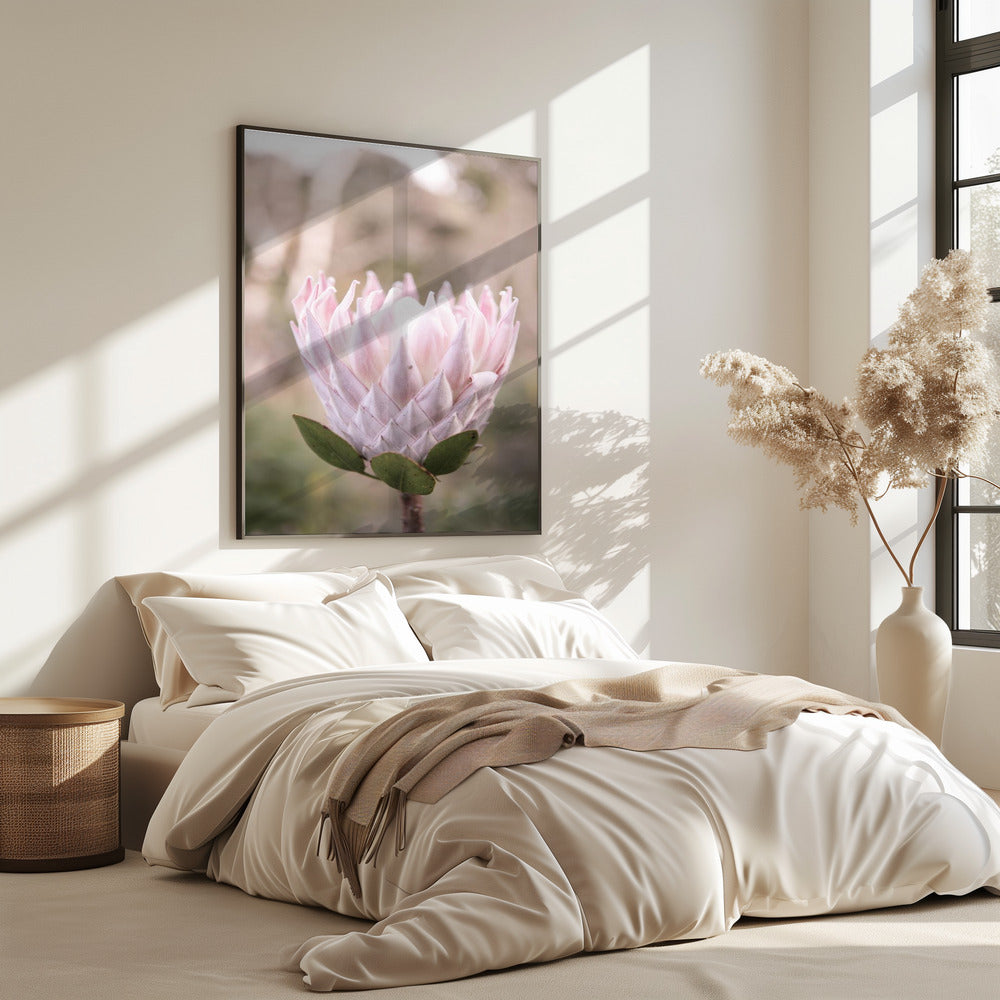 Blossom Majesty | Poster