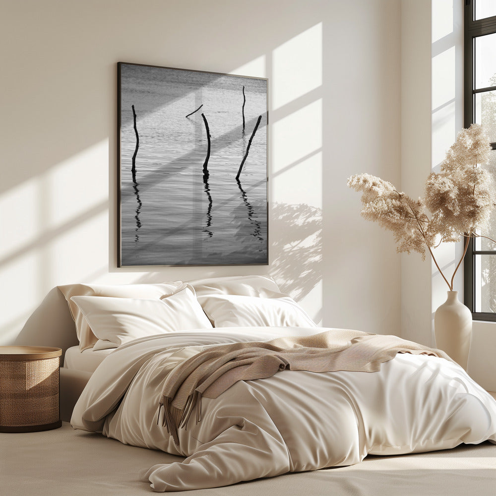 Silent Reflections | Poster