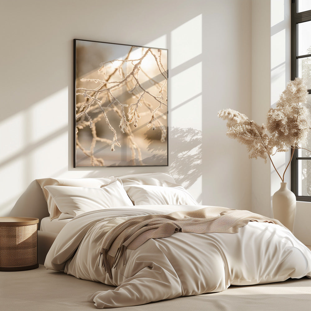 Frosty Morning 6 | Poster