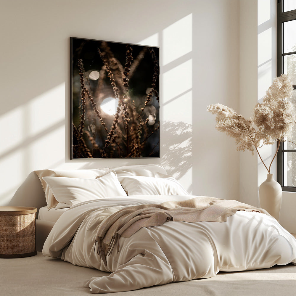 Natural Sparkle 2 | Poster