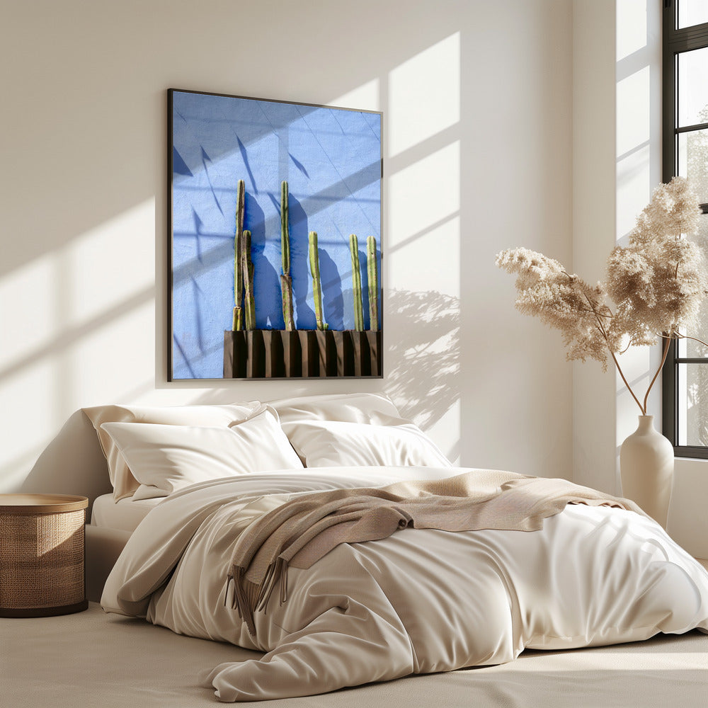 Tall Cacti | Oaxaca Mexico travel photography | Poster