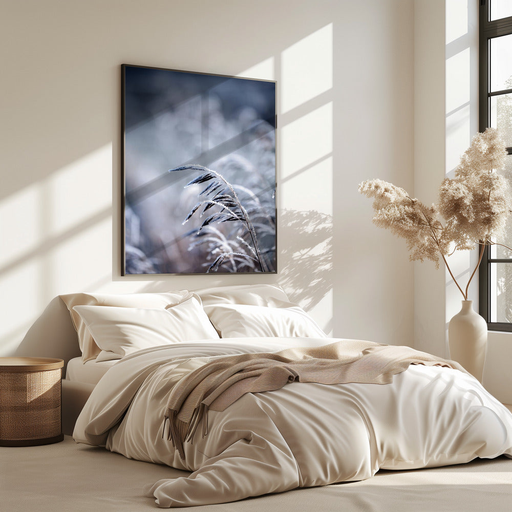 Frosty Morning 5 | Poster