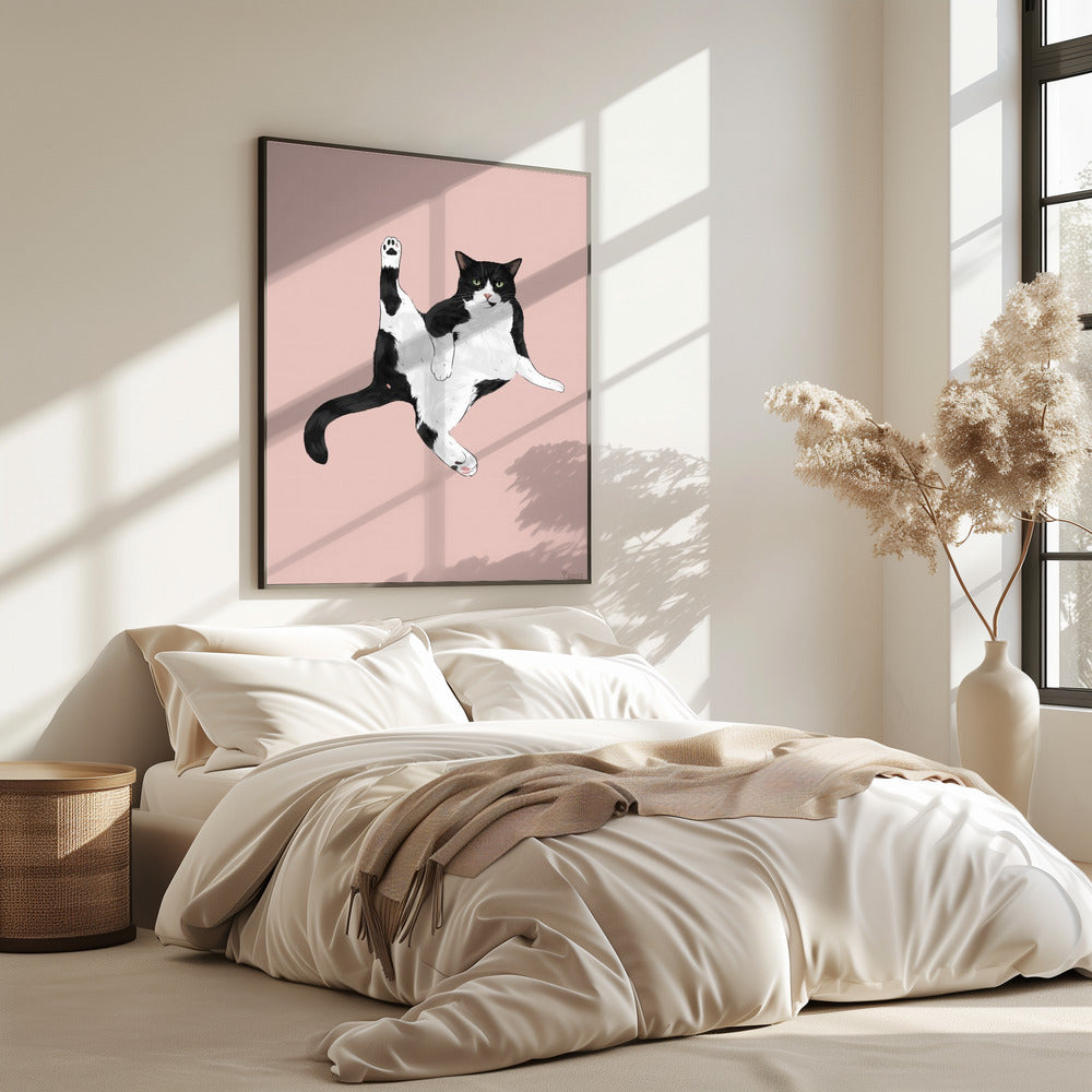 Cat In A Funny Pose | Poster