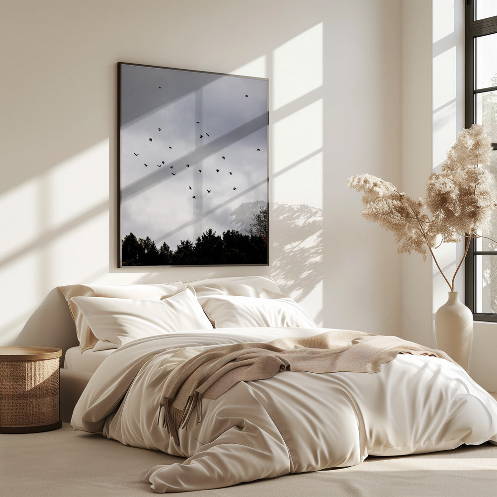 Birds and Clouds 1 | Poster