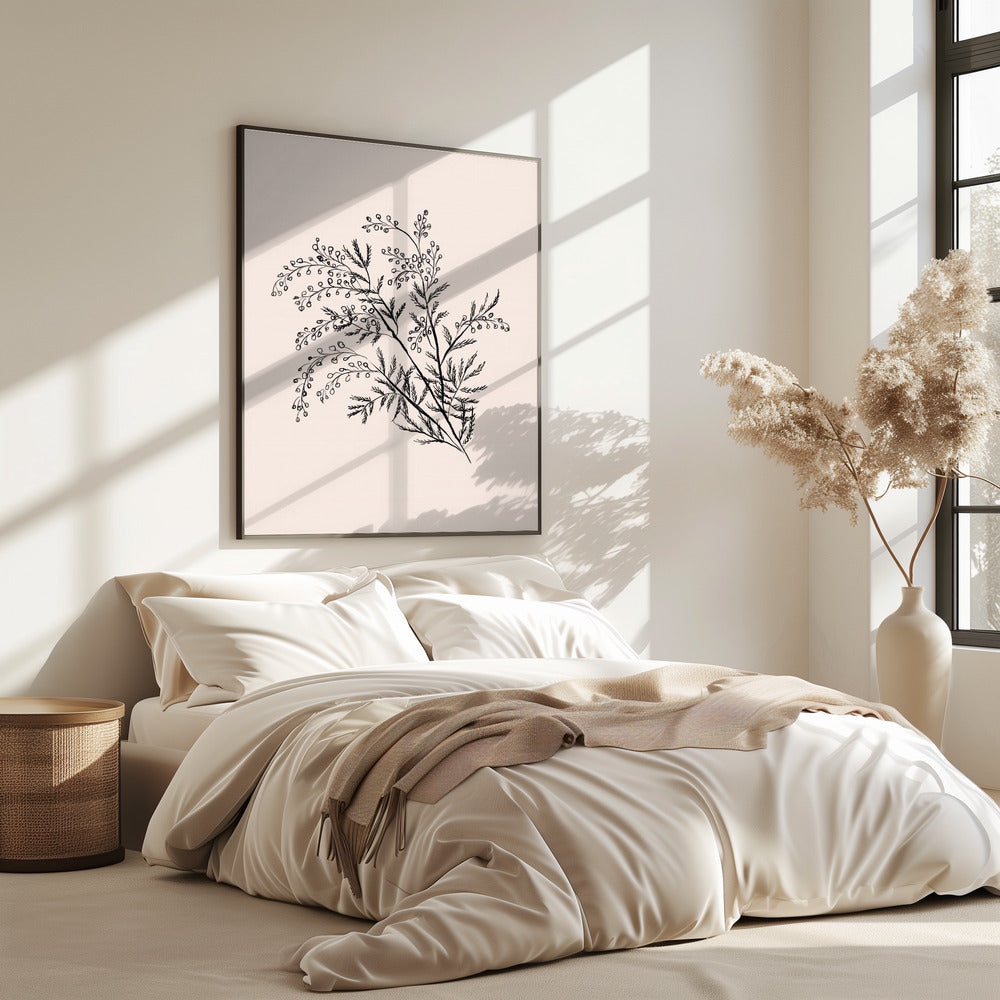 Acacia Botanical Branch | Poster