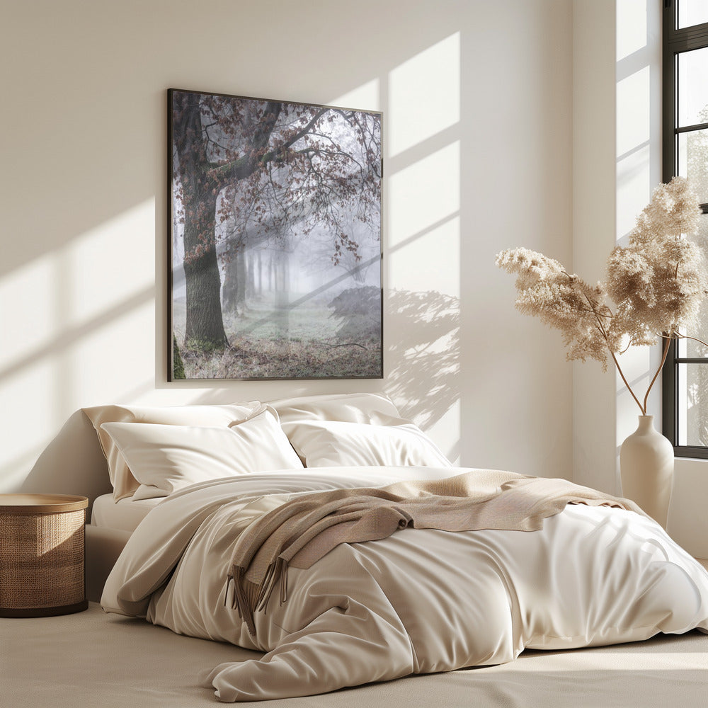 Foggy Winter Morning 3 | Poster