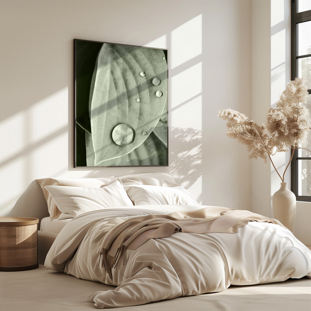 Dew on Leaf Elegance | Poster