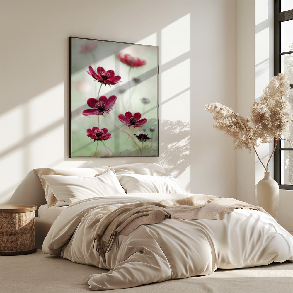 Cosmos sway | Poster