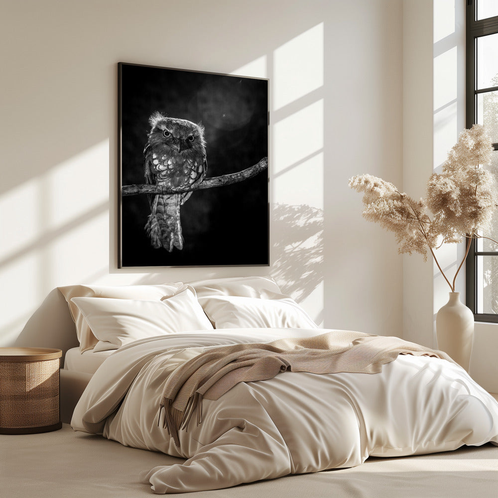 Alone in the night | Poster