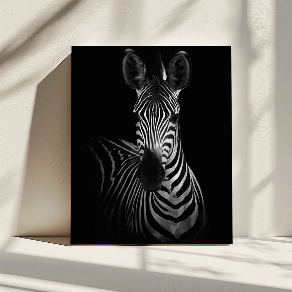 The Zebra | Canvas