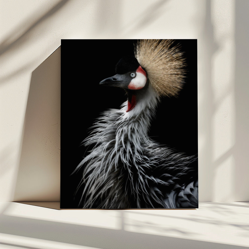 Crowned crane's portrait | Canvas