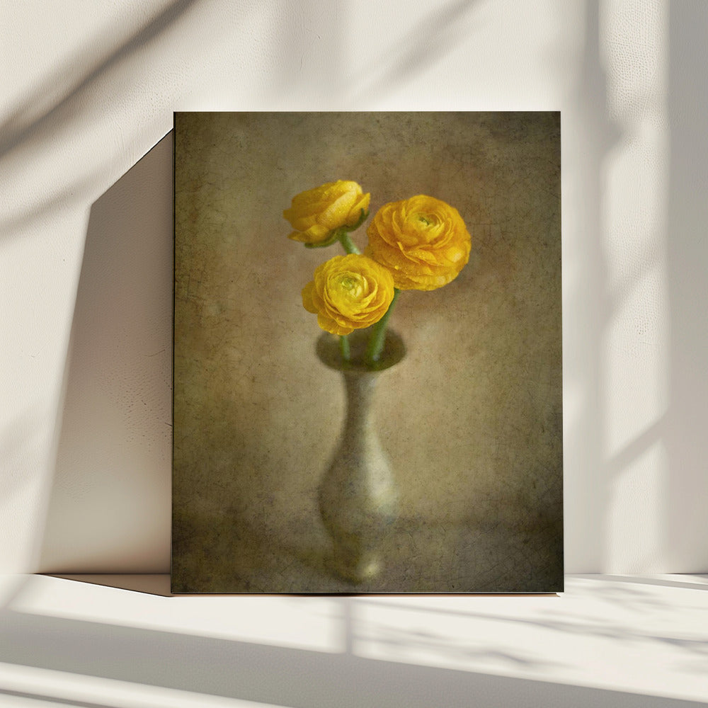Yellow buttercups | Canvas