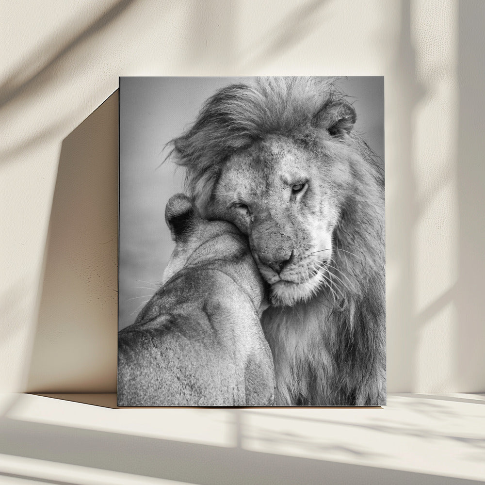 African Love! | Canvas