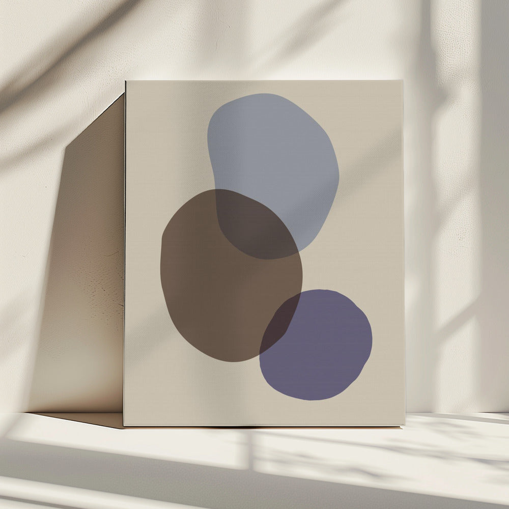 Organic Shapes 05 | Canvas