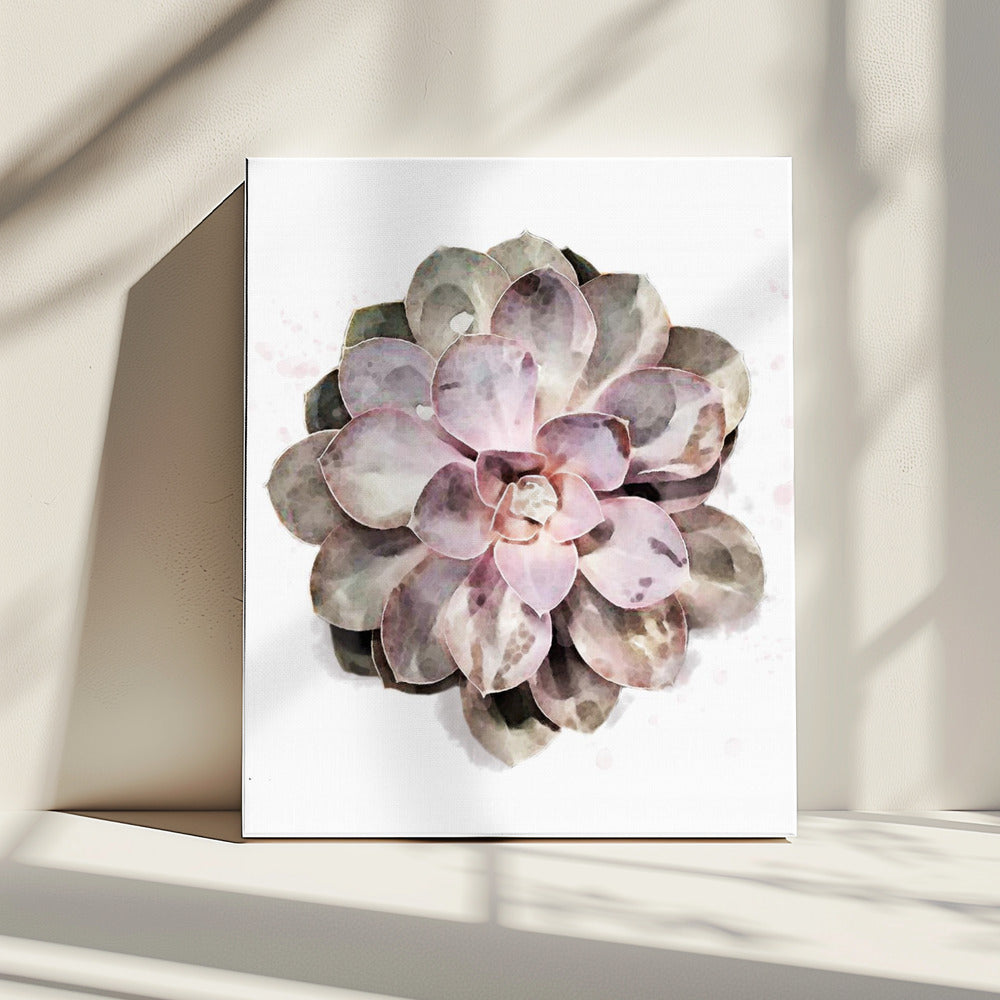 Succulent 01 | Canvas