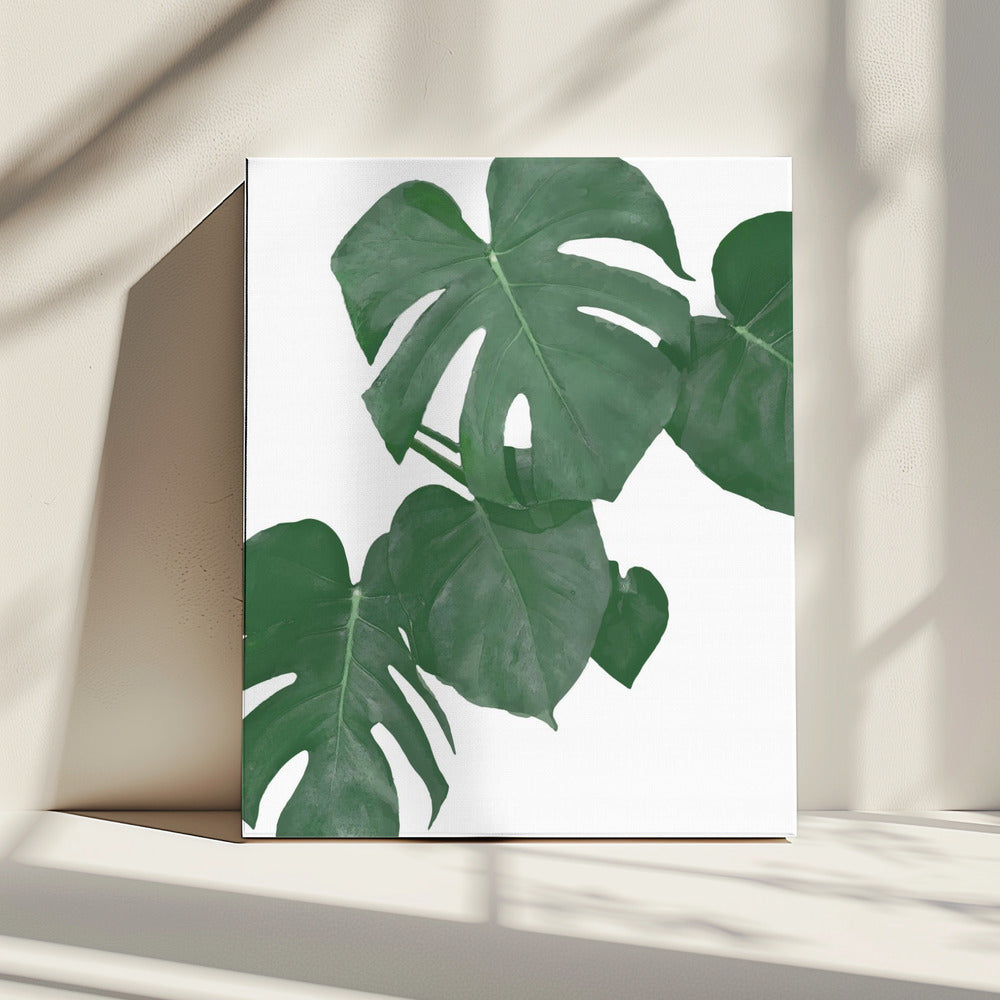 Monstera Aqua 01 | Canvas