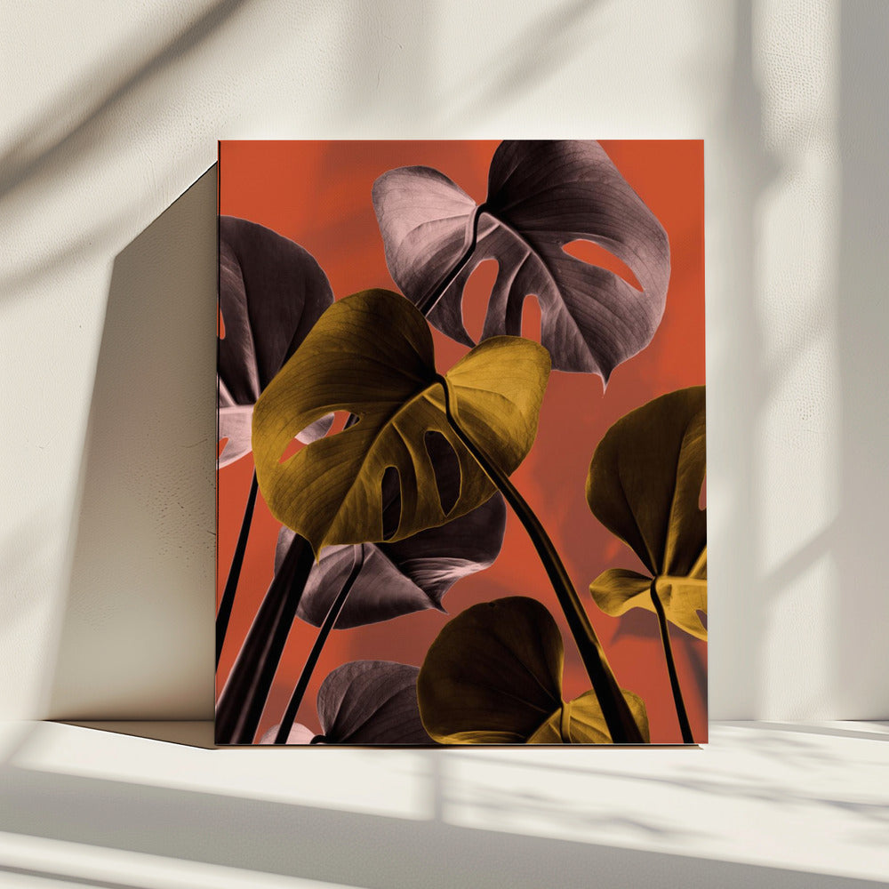 Monstera Orange 01 | Canvas