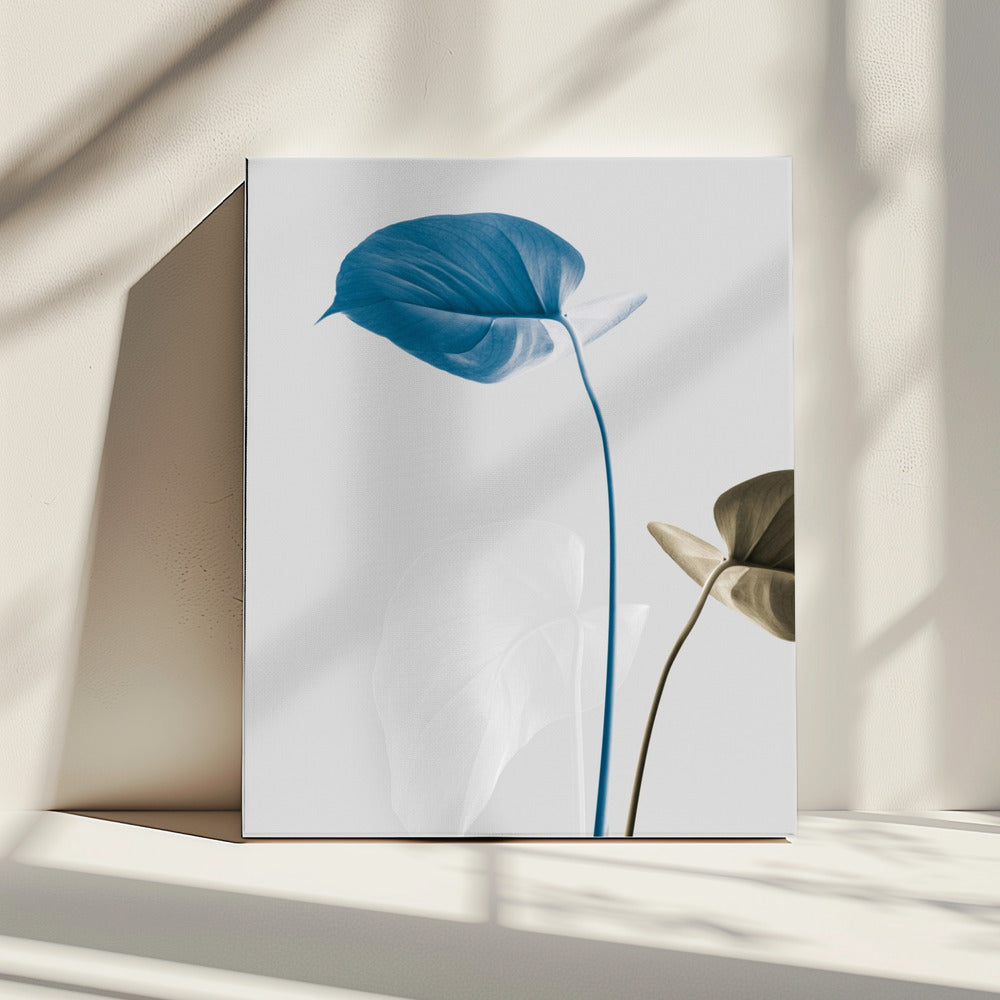 Monstera Creative 19 | Canvas