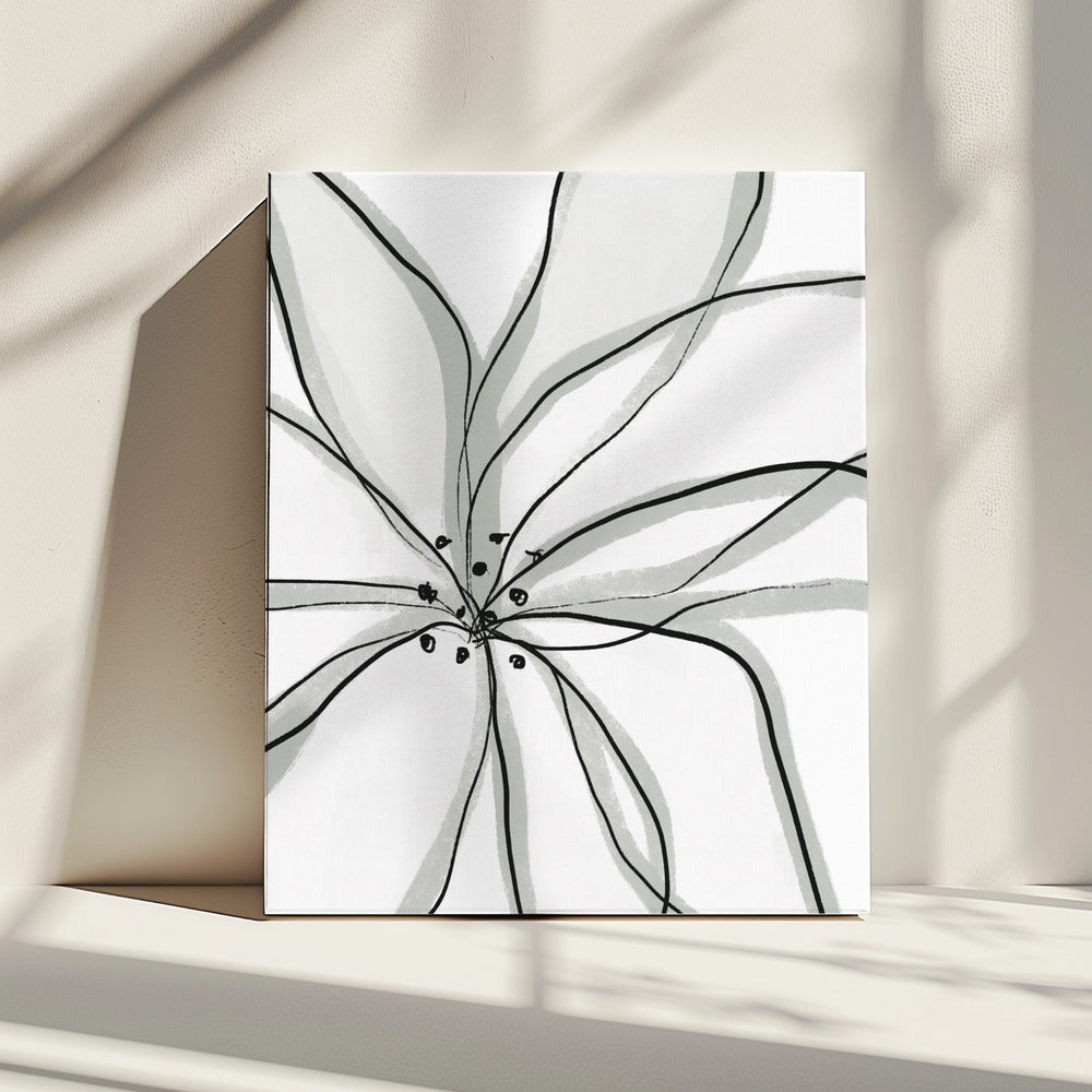 Delicate Flower Petals | Canvas