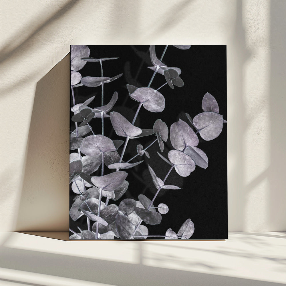 Eucalyptus_Negative_003 | Canvas