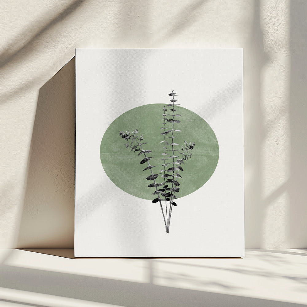 Nature's Echo | Canvas