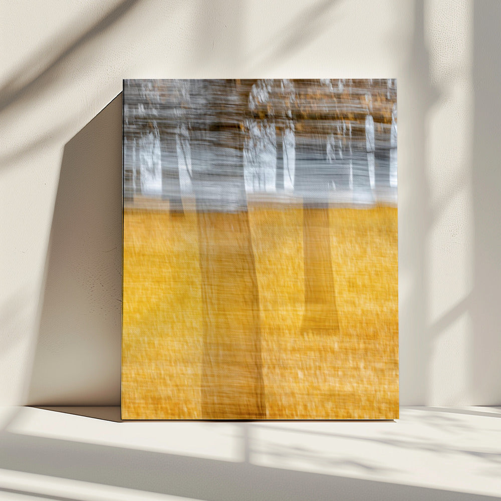 黄叶西风 | Canvas