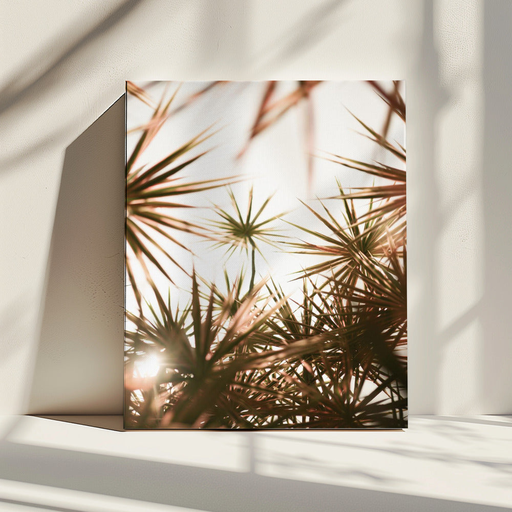 Abstract Beauty Of Spiky Plant | Canvas