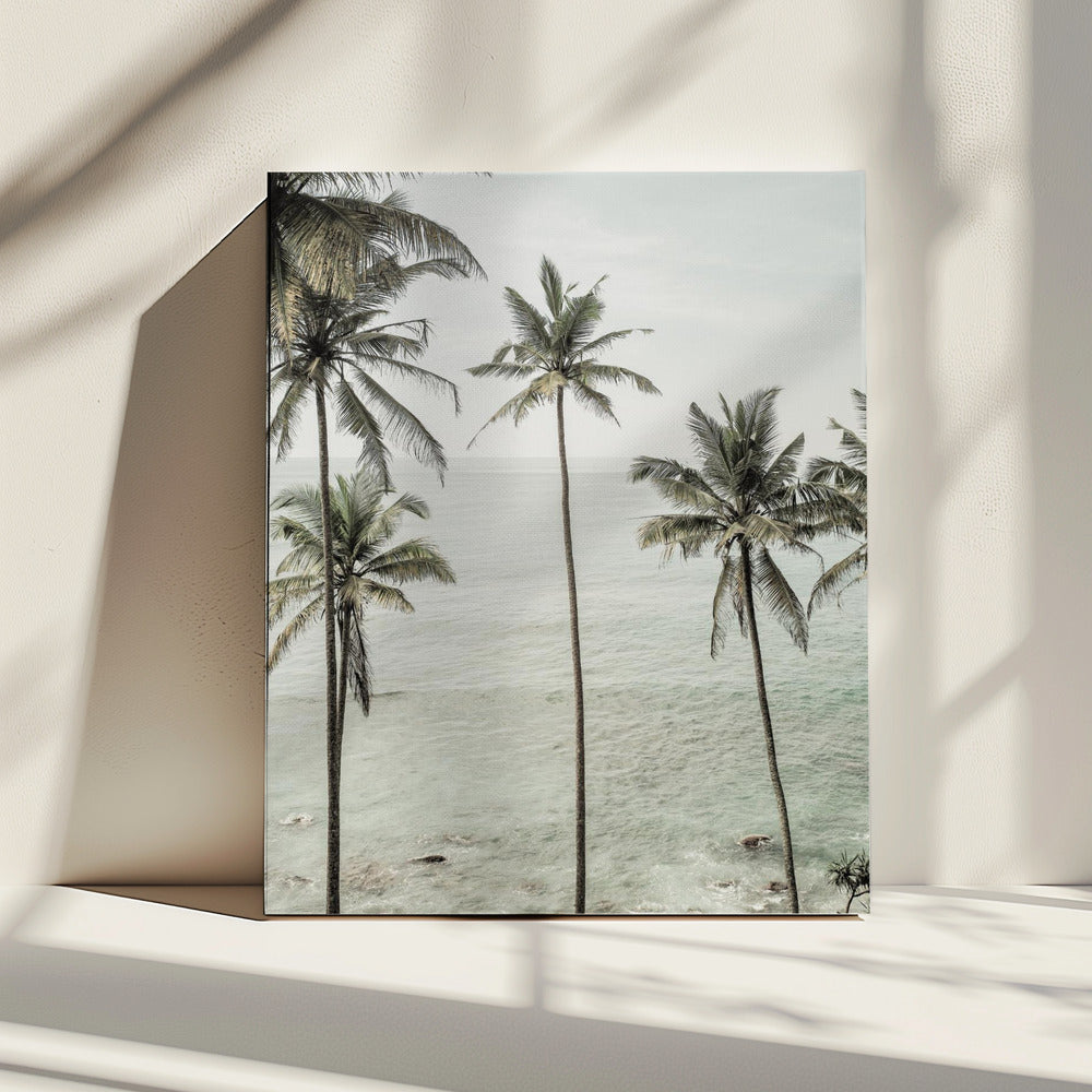 Tropical Dreams | Canvas