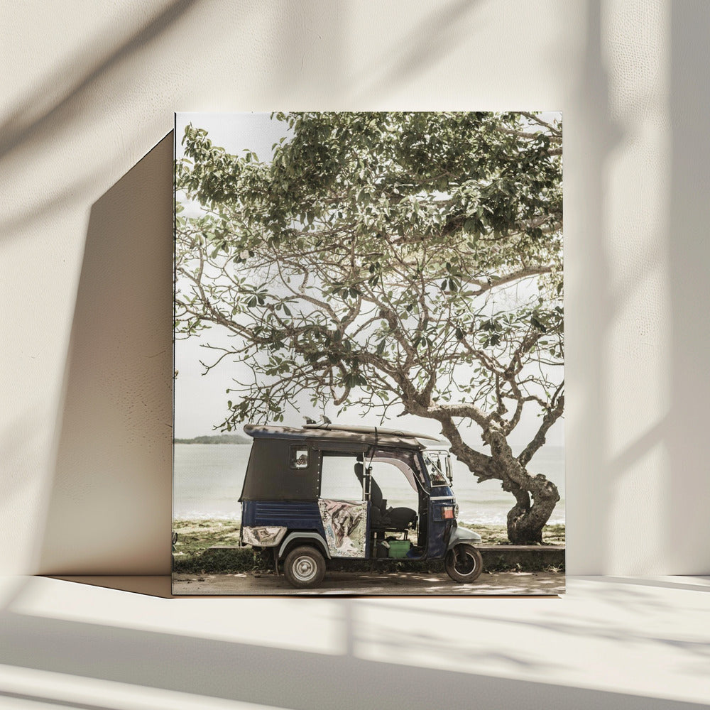 Tuk Tuk Tour | Canvas