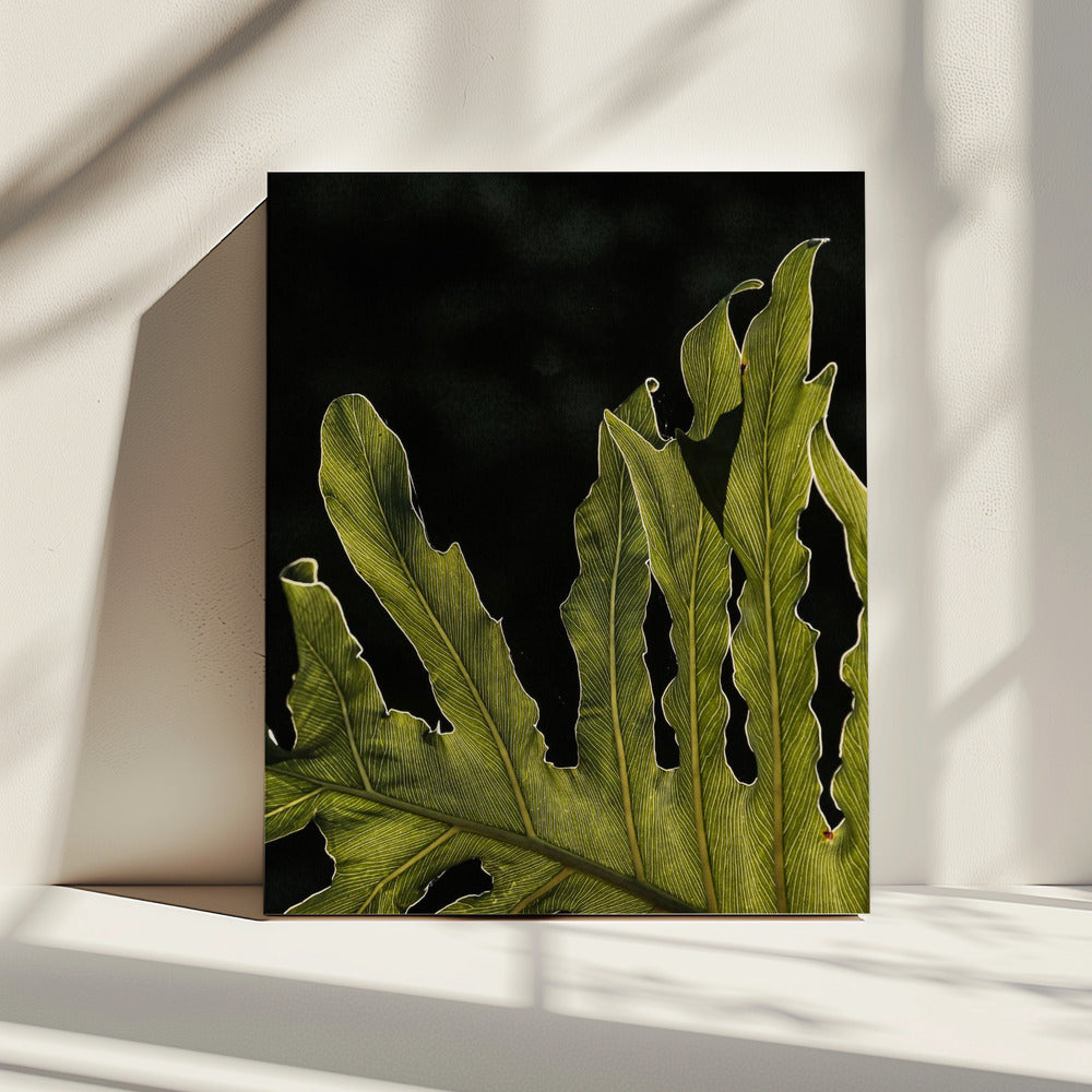Leafy Silhouette | Canvas