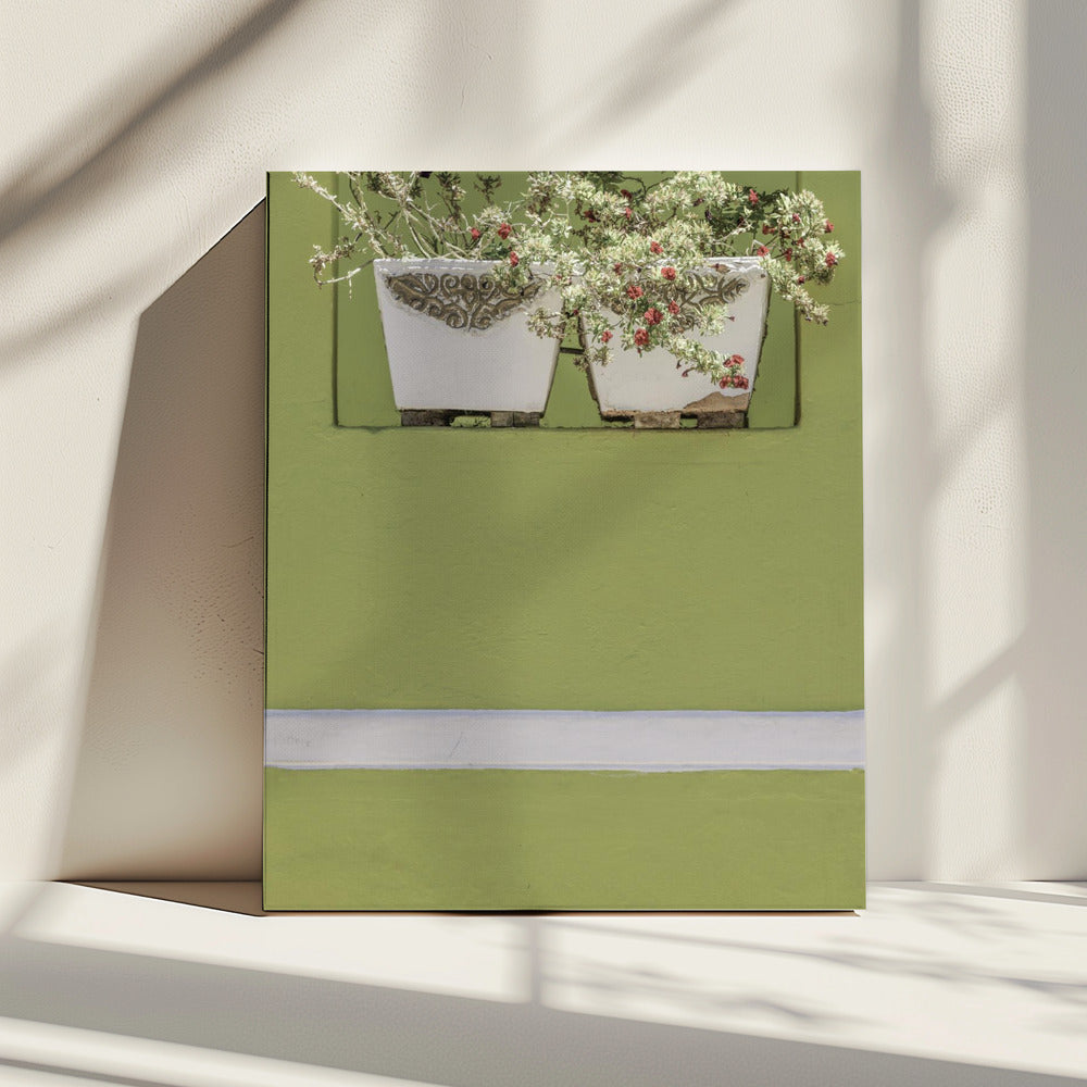 Wall Garden | Canvas