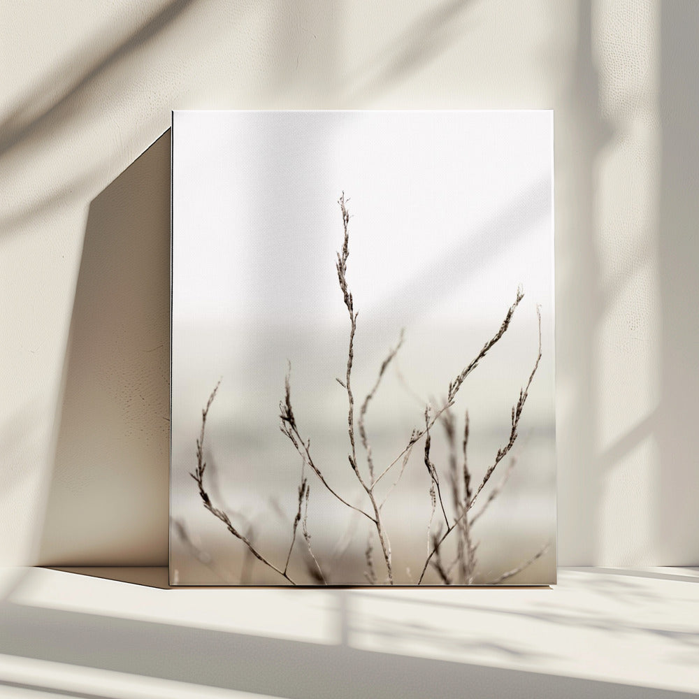 Pickleweed No.1 | Canvas