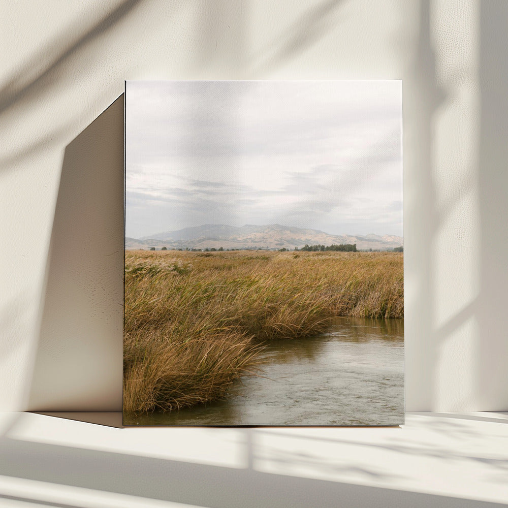 Marshland No.2 | Canvas