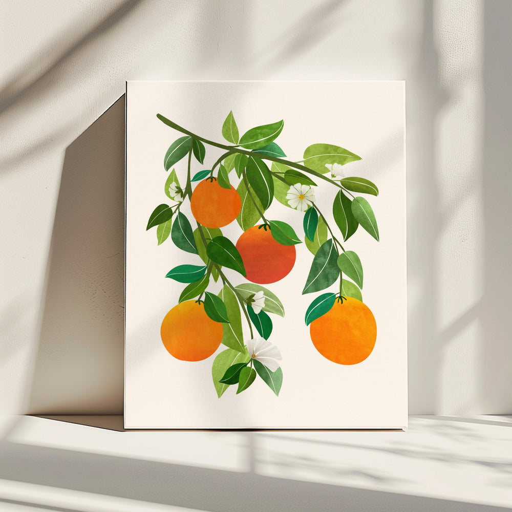 Oranges and Blossoms Ii | Canvas