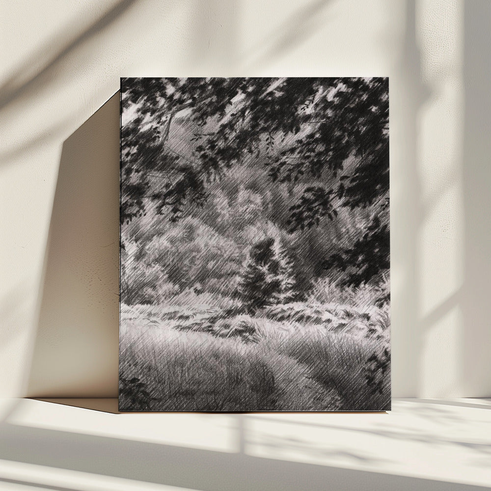 Duivelsberg - 25-12-23 | Canvas